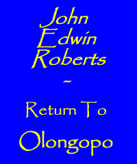 John Edwin Roberts - Return To Olongopo